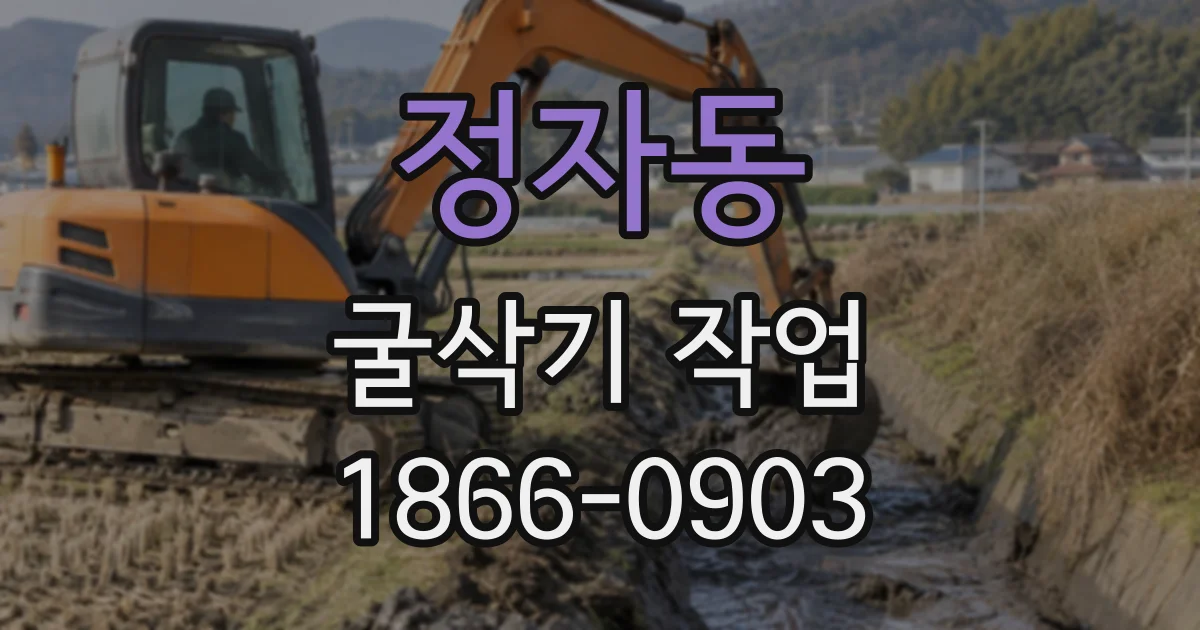 정자동 굴삭기작업