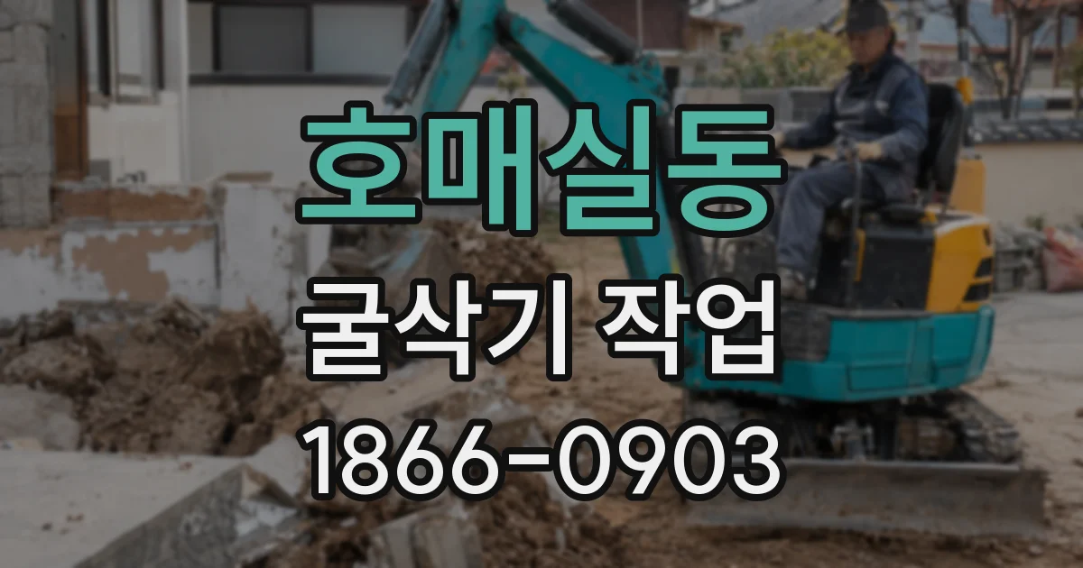 호매실동 굴삭기 작업