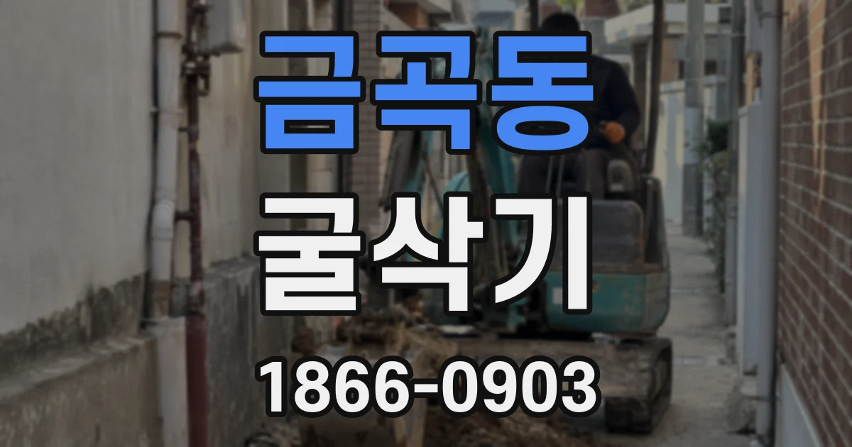 금곡동 굴삭기