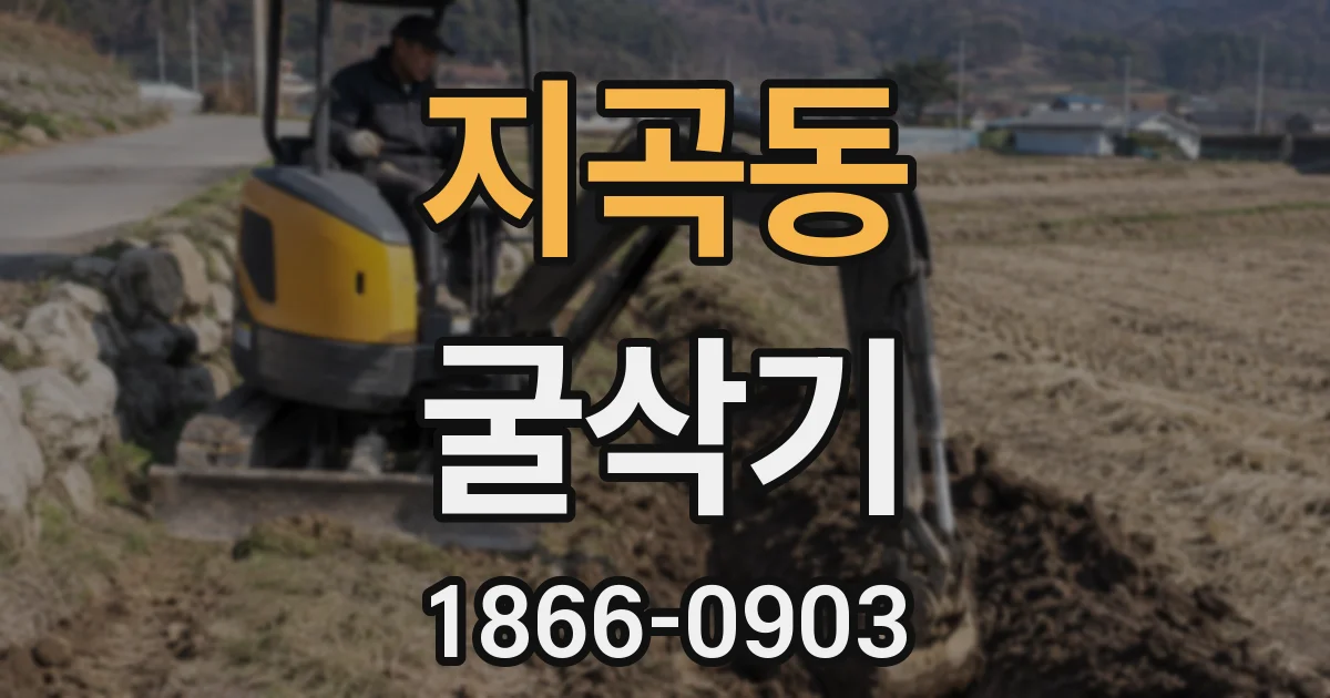 지곡동 굴삭기