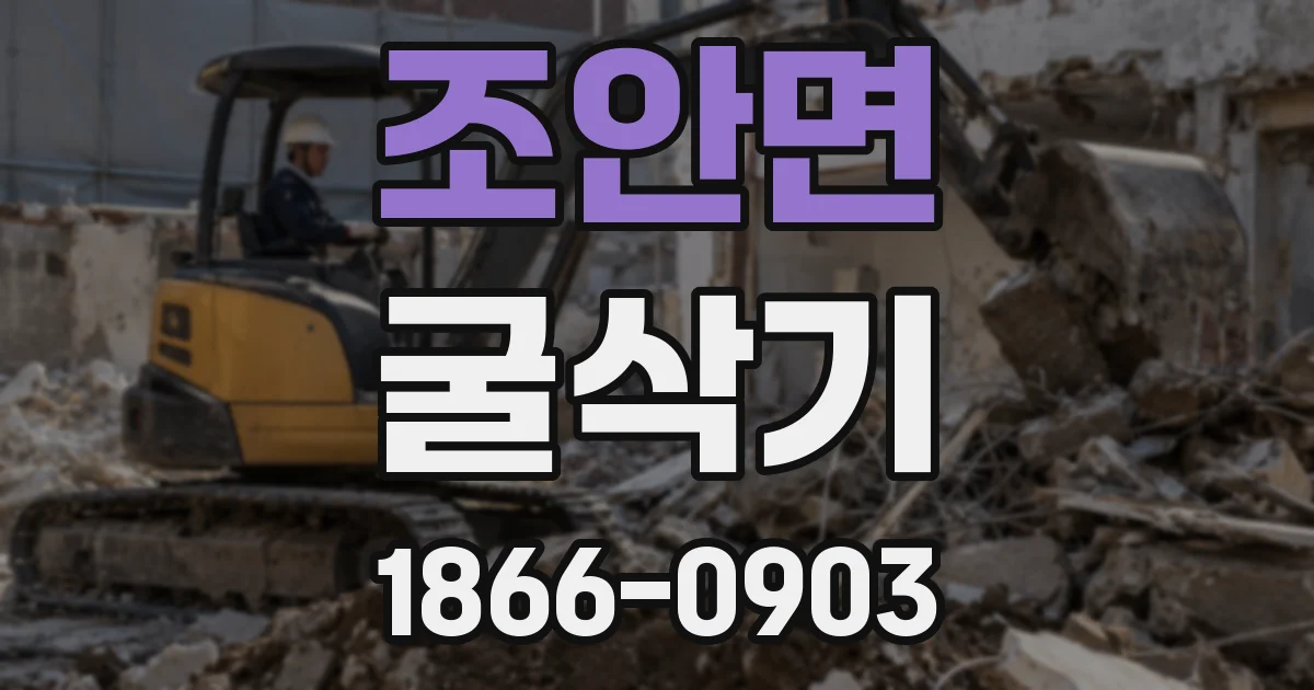 조안면 굴삭기