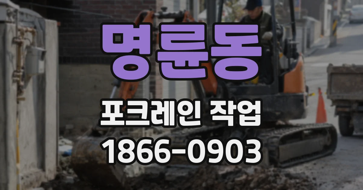 명륜동 포크레인 작업