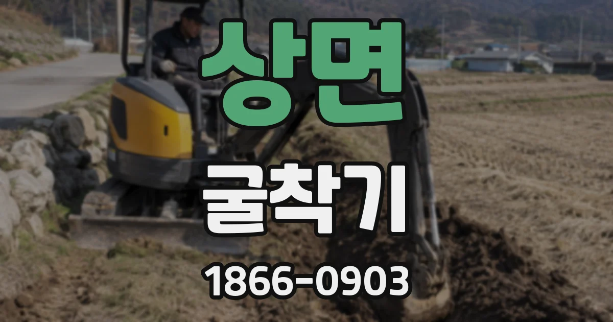 상면 굴착기