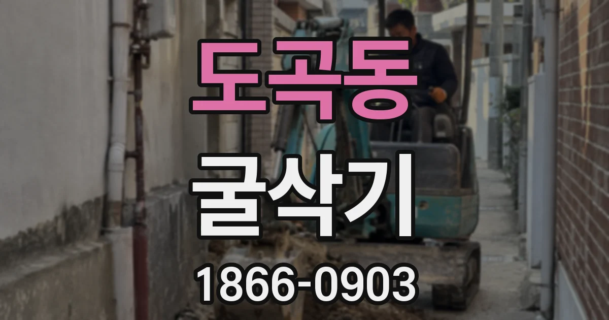 도곡동 굴삭기