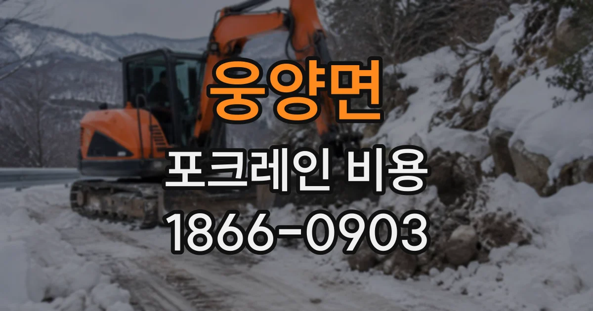 웅양면 포크레인비용