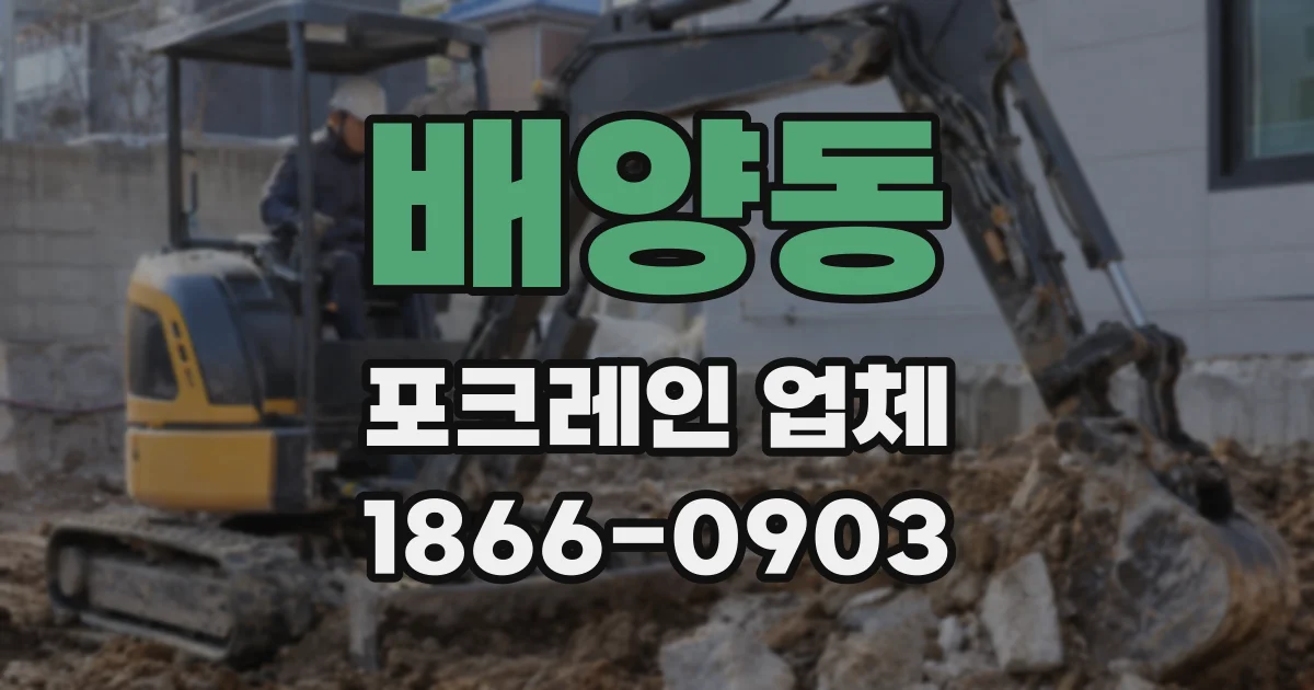 배양동 포크레인 업체
