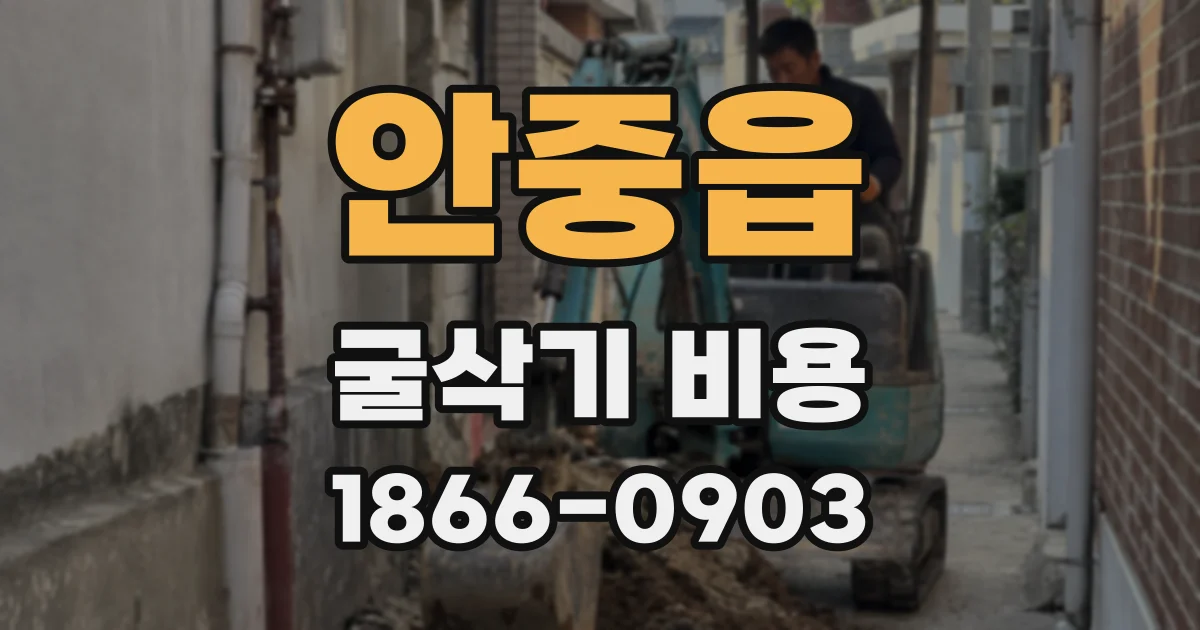 안중읍 굴삭기 비용