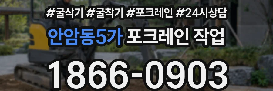 안암동5가 포크레인 작업
