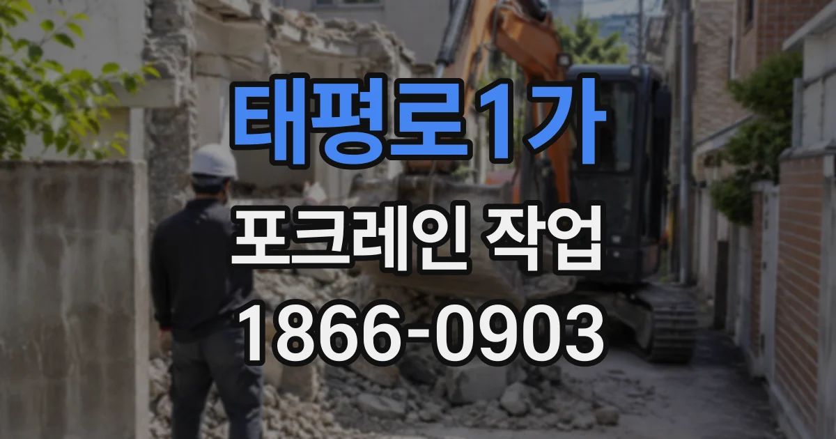 태평로1가 포크레인작업