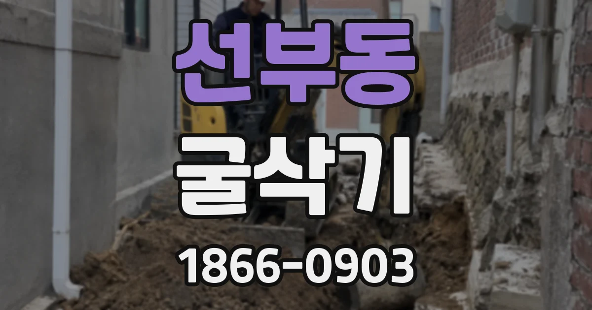 선부동 굴삭기