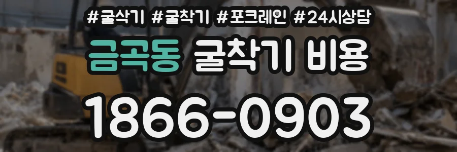 금곡동 굴착기 비용