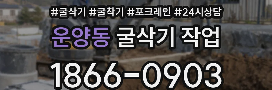 운양동 굴삭기 작업