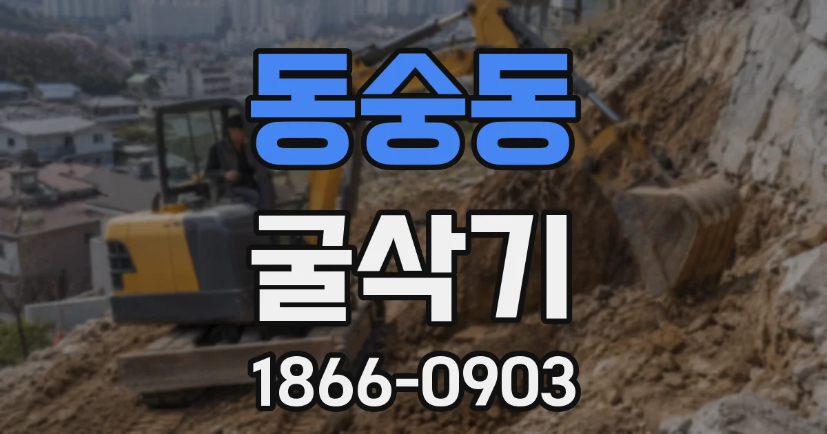 동숭동 굴삭기