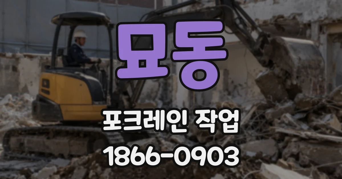 묘동 포크레인 작업