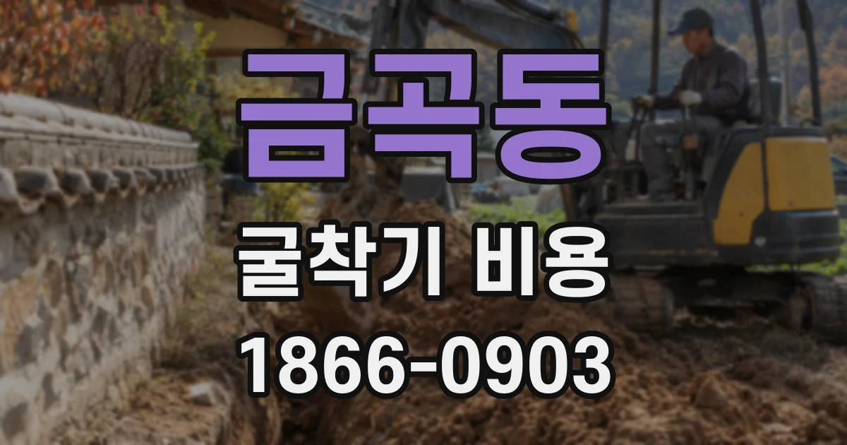 금곡동 굴착기 비용