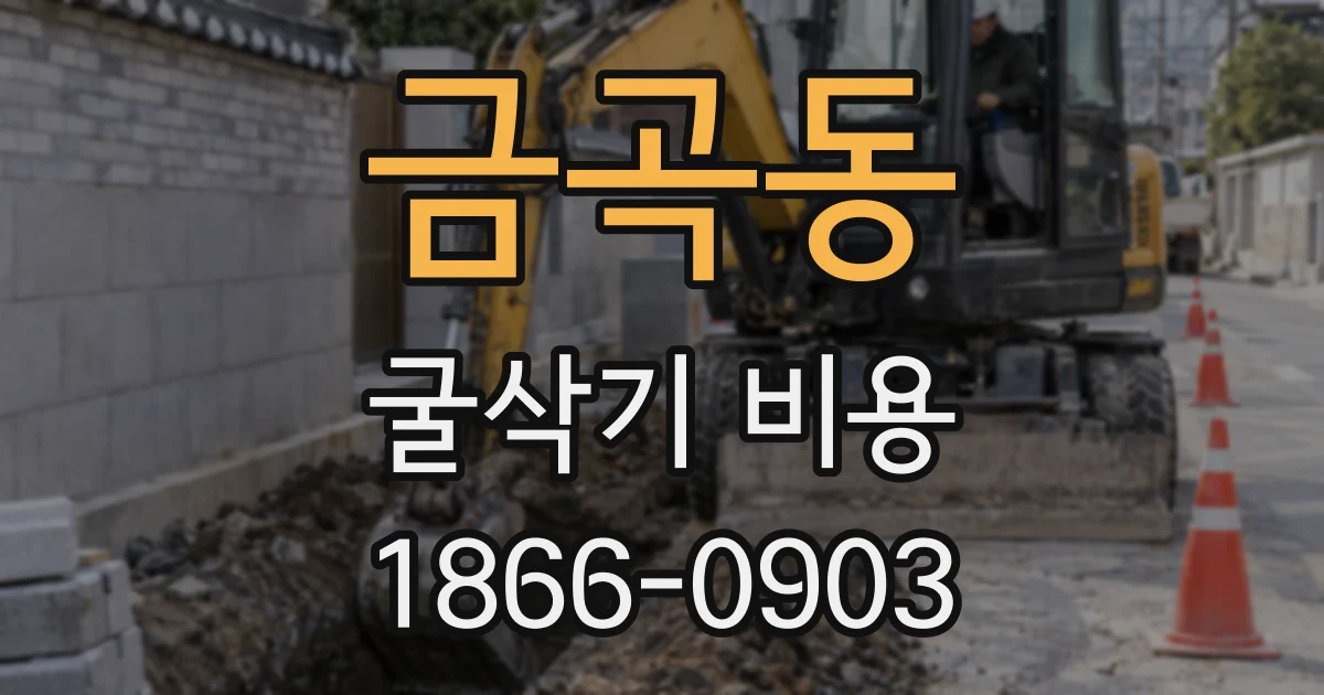 금곡동 굴삭기 비용