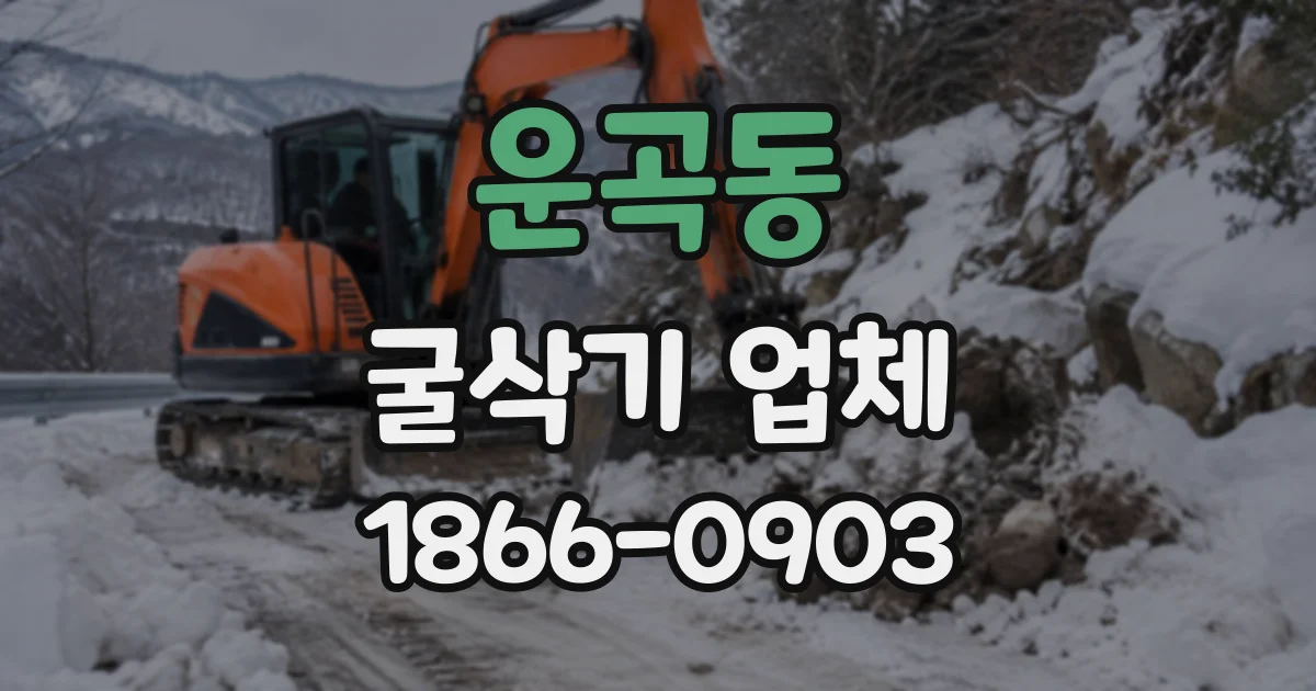 운곡동 굴삭기업체
