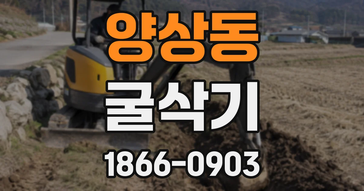 양상동 굴삭기