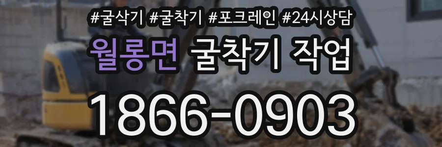 월롱면 굴착기 작업
