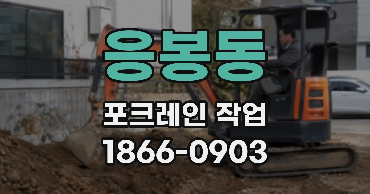 응봉동 포크레인 작업