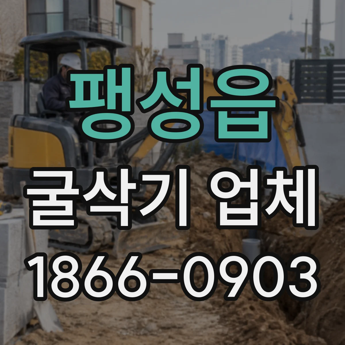 팽성읍 굴삭기 업체