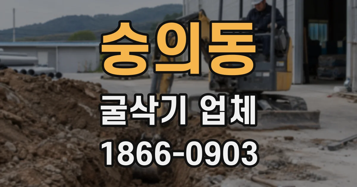숭의동 굴삭기 업체