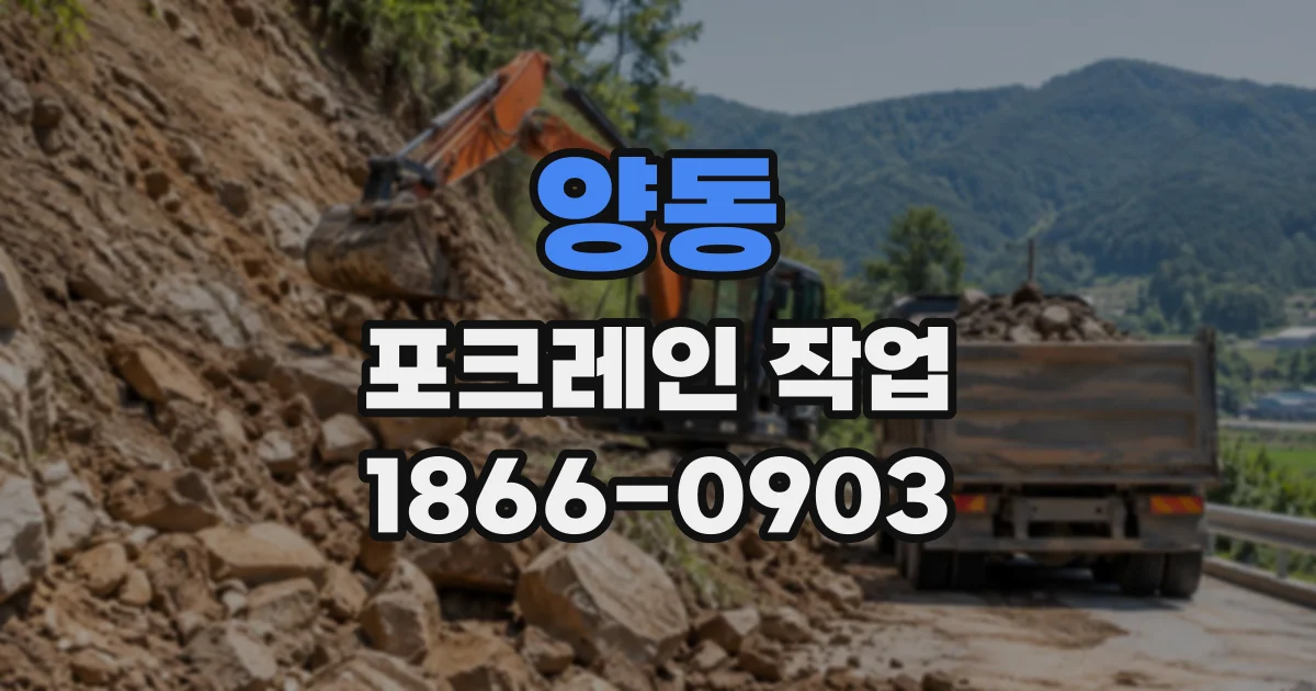 양동 포크레인작업