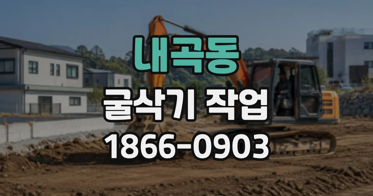 내곡동 굴삭기작업