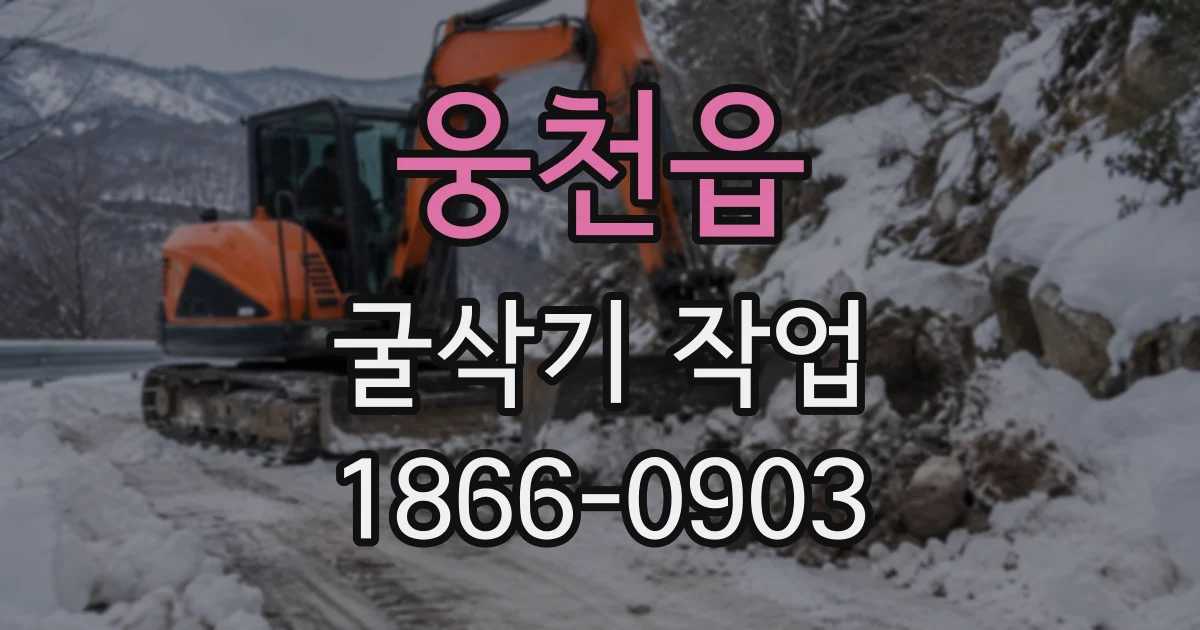 웅천읍 굴삭기작업