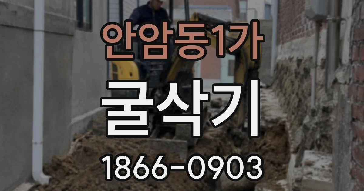 안암동1가 굴삭기