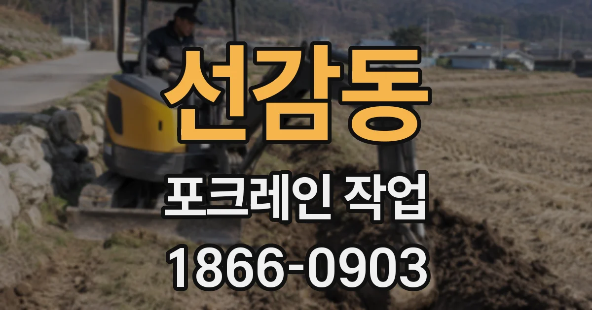 선감동 포크레인 작업