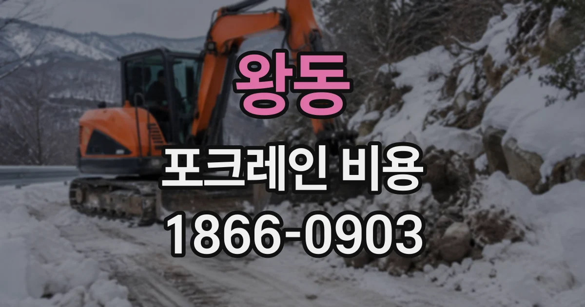 왕동 포크레인비용