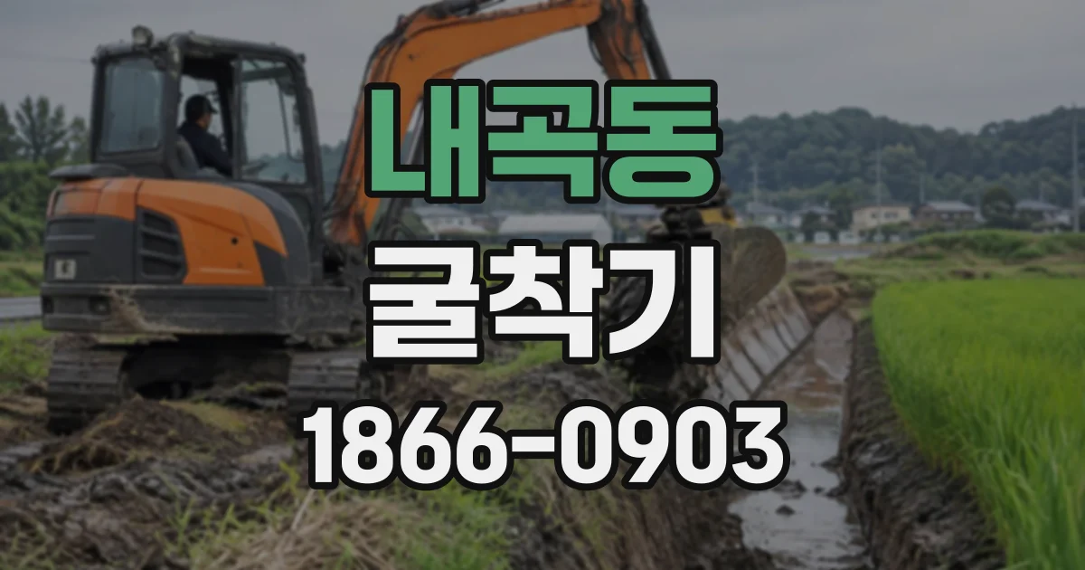 내곡동 굴착기