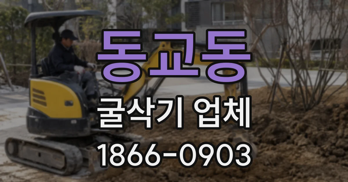 동교동 굴삭기 업체