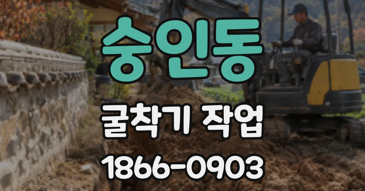 숭인동 굴착기 작업