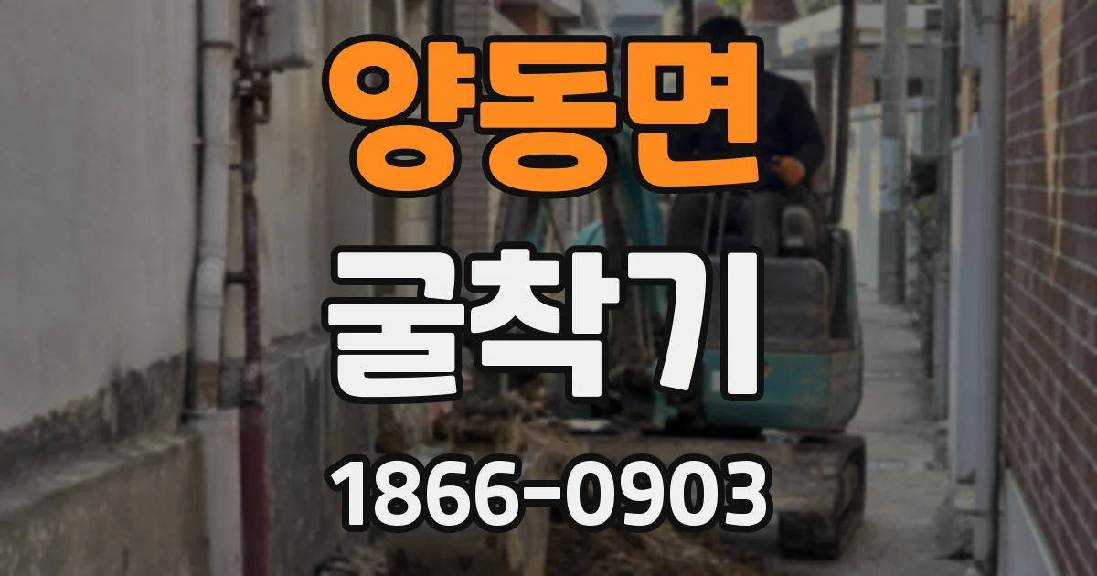 양동면 굴착기