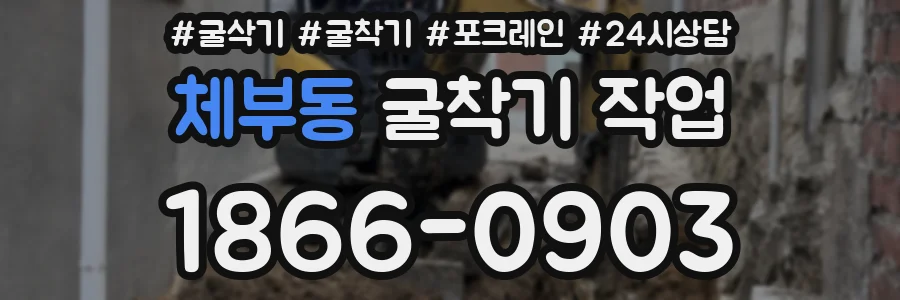 체부동 굴착기 작업