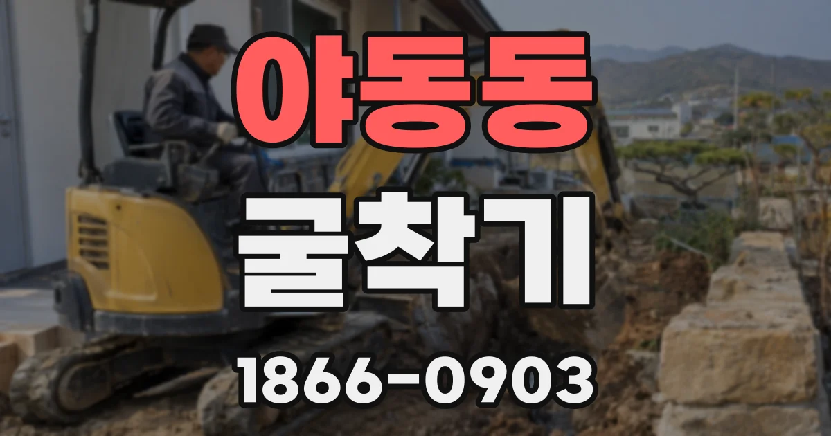 야동동 굴착기