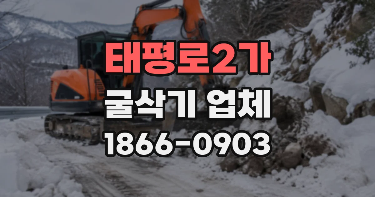 태평로2가 굴삭기업체