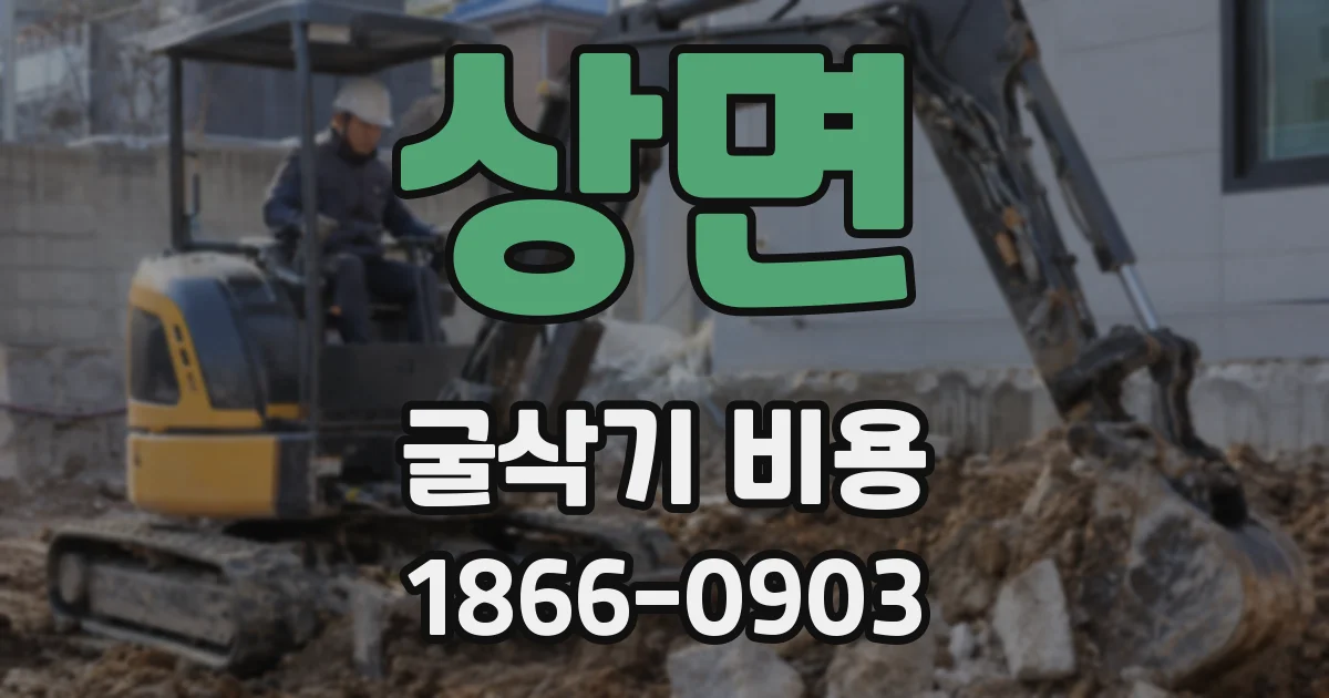 상면 굴삭기 비용