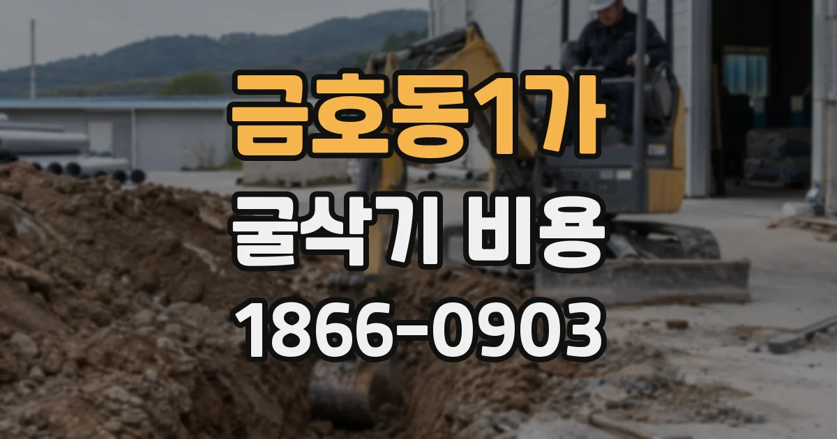 금호동1가 굴삭기 비용