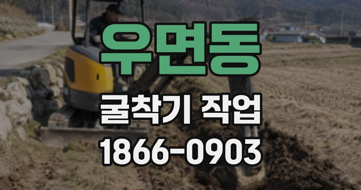 우면동 굴착기 작업