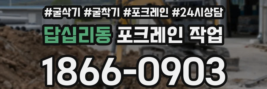 답십리동 포크레인 작업