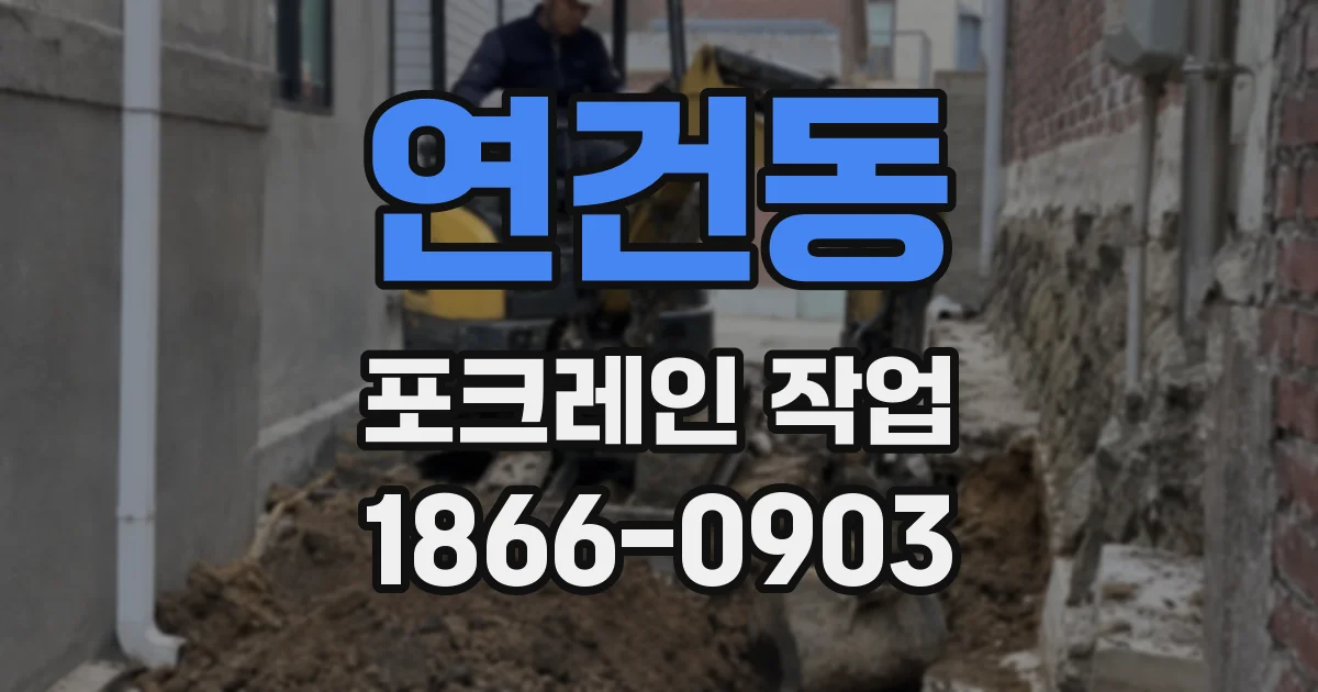 연건동 포크레인 작업