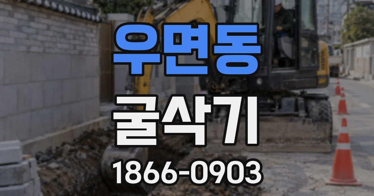 우면동 굴삭기