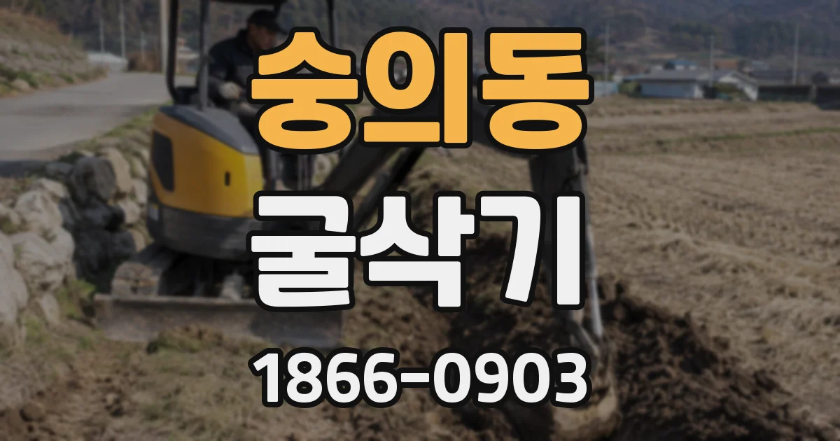 숭의동 굴삭기
