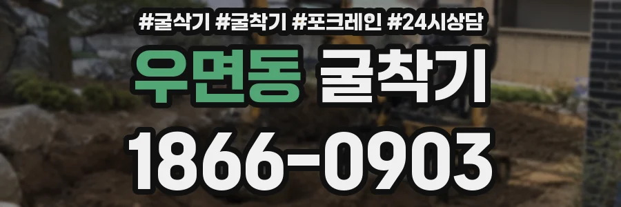 우면동 굴착기