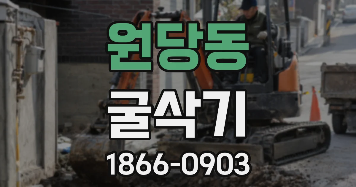 원당동 굴삭기