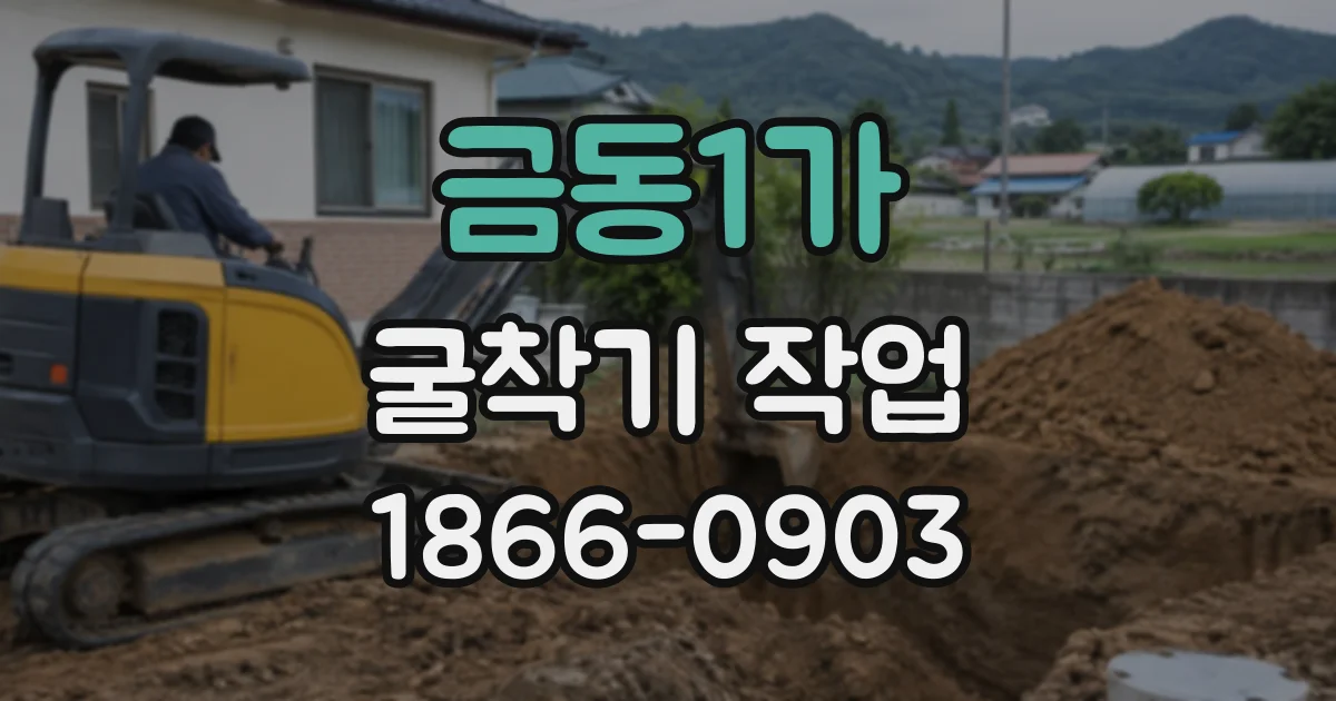 금동1가 굴착기작업