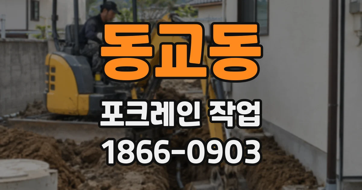 동교동 포크레인 작업